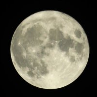 ﾊﾟｰｿﾅﾙｽﾍﾟｰｽは狭め