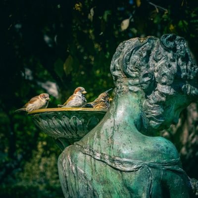 ✿⊱ Mayuli Peña R ✿⊱