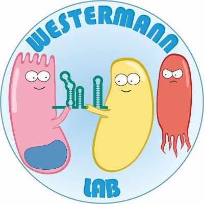 Westermann lab