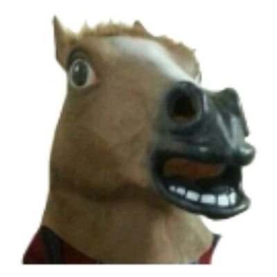 たも(たもむち)🐴vtuber