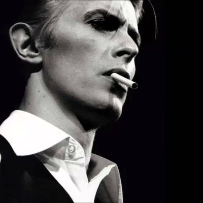 Bert Roots, Rock, Rebel