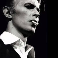 Bert Roots, Rock, Rebel