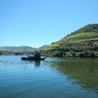 sylvain piche 🇺🇦🇨🇦🌎