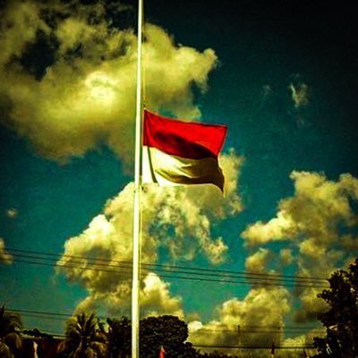 Rt&L retwit and like