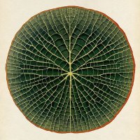 probablyautist™ 🔮