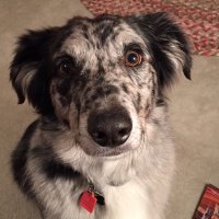 Tootsismyname🏴‍☠️