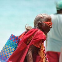 Patrick Flamant Chesneau