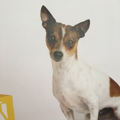 EL INE ES DE LOS CIUDADANOS