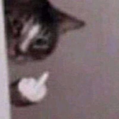 Vil🇦🇷🇮🇱🏆🏆🏆