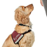 SaZwithhersuperstarHD🐾