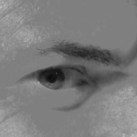 EJFronda ♓🎼🐺🌈