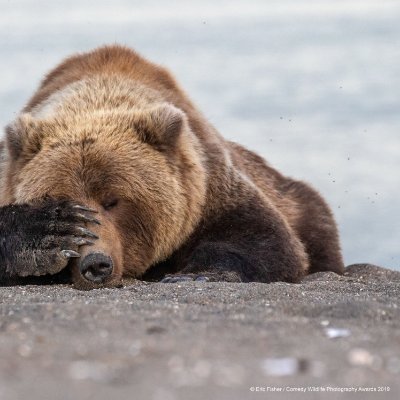 Prima do mestre d'obras