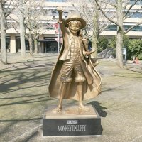 The color is ROYAL PURPLE