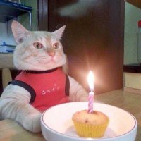 あまのっち【養分】🍥