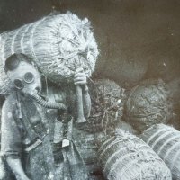 enojakkur colmillo 