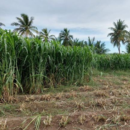 SHANMUGASUNDARAM PONNUSAMY