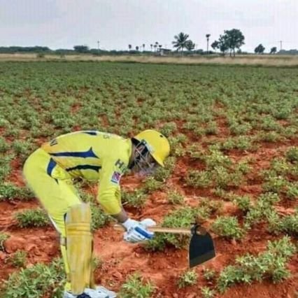 Troll ஜோக்கர் CSgay™❁