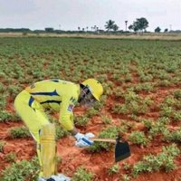 Troll ஜோக்கர் CSgay™❁