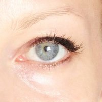 🚂🚃 ✩ ƚιƚι_Ⴆιɾԃ ✩ 🚃⚜️🇫🇷🇺🇸☘️*:・ﾟ