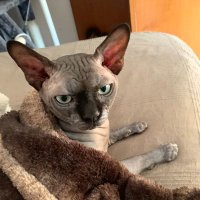 cinzia spoletini 💚 🇮🇹