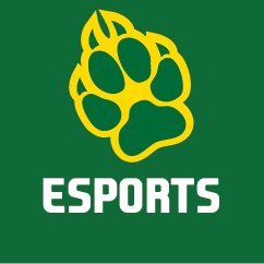 Washtenaw Community College Esports