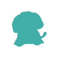 Sugary Noe📍VRゲーセン