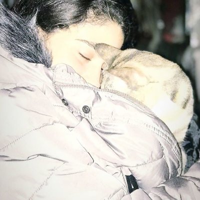 N.A Bambi🐦🐹🐱🐶🐺🎭🎭