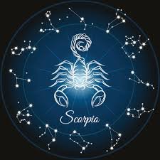 scorpio_woman 🦂🦂