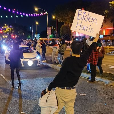 The U.S. is no longer a democracy. MAGA cheering