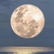 Silver Wheel 🇬🇧 🏴󠁧󠁢󠁥󠁮󠁧󠁿