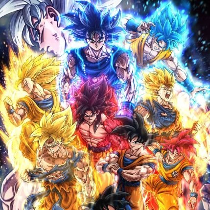 The Evolving Traders