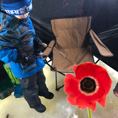 Microbes Rule the World