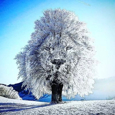 UniversAle🦁🇮🇹