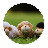 The Melody of My Soul