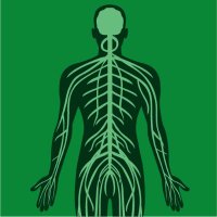 Neurology International