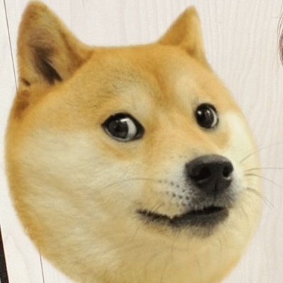 HeelingVoice1015 | Fan account