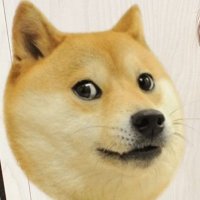 HeelingVoice1015 | Fan account