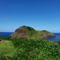 トール(とるまる)