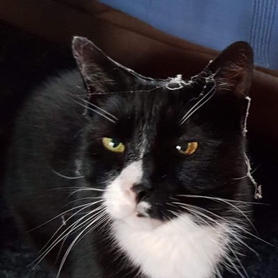 MAY ELLEN HOCKENHULL π π° πͺ πβππππ―οΈ