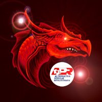 Dragones Rojos de Venezuela. IZQUIERDA RADICAL