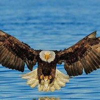 ❌Ihartman (Ina)❌