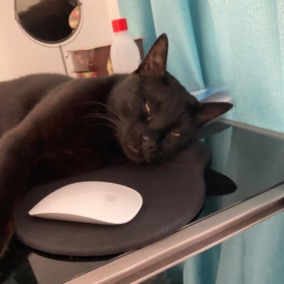 moonkiss🇨🇾 🇪🇺