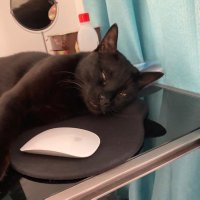 moonkiss🇨🇾 🇪🇺