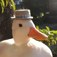 FriendlyDuckGoesQuack