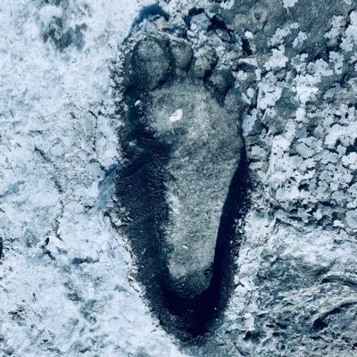 SantaSofiadelaPiedad