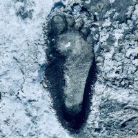 SantaSofiadelaPiedad