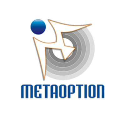 MetaOption LLC