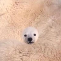 tum | MTG他　趣味用