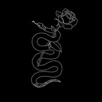 バレンティナ 🌻