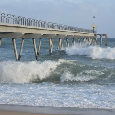 Carles Llanes i Gallardo